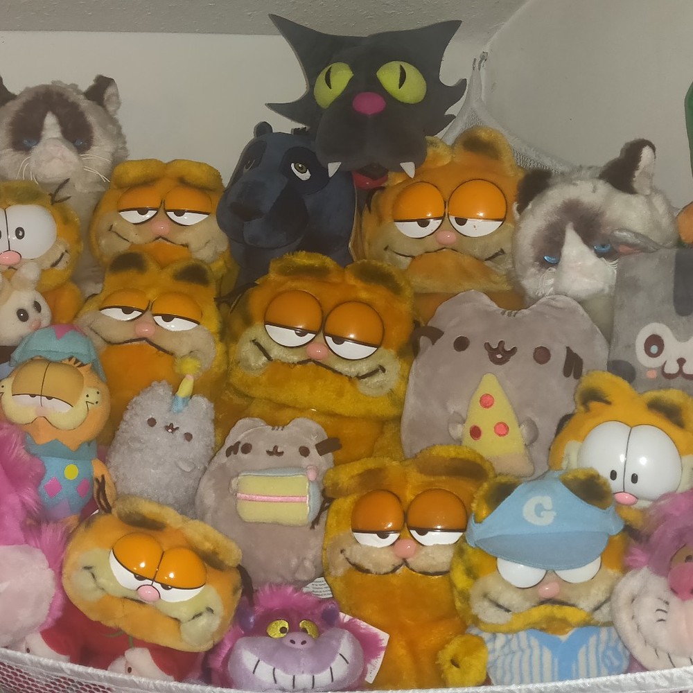 Meet your Posher, Hammy